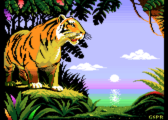Amica the Tiger