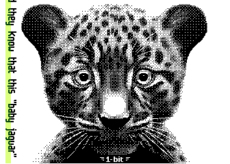 BabyJag