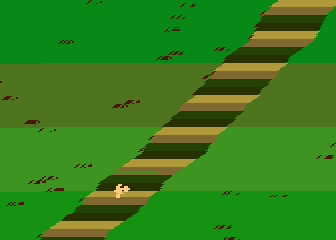 Dirt Race
