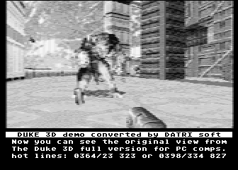 Duke 3D View