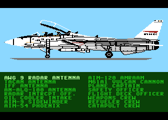 F-14 Tomcat III