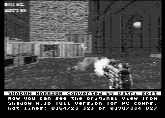 Shadow Warrior View