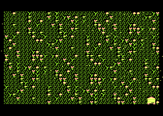 Silly Bees