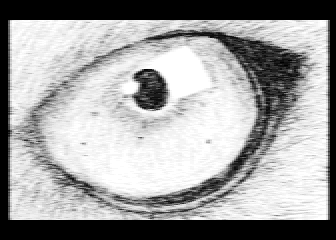 The Eye