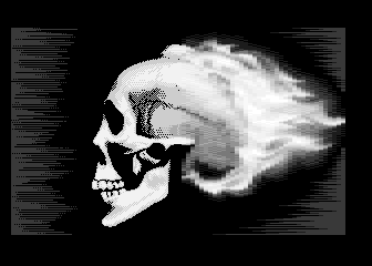 xD raider