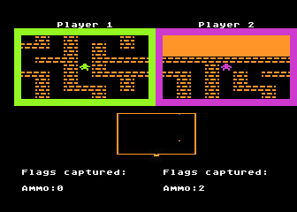 Capture the Flag (Brad Timmins)