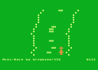 Mini-Race