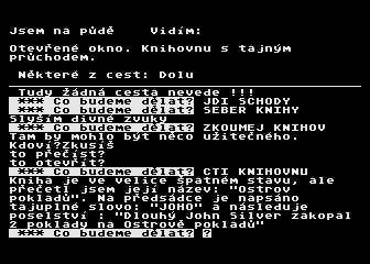 Pirate Adventure cs