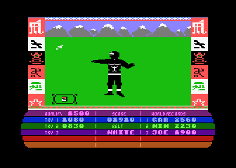 The Ninja Master