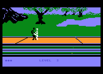 Computer Karate