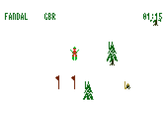 Ski-Race